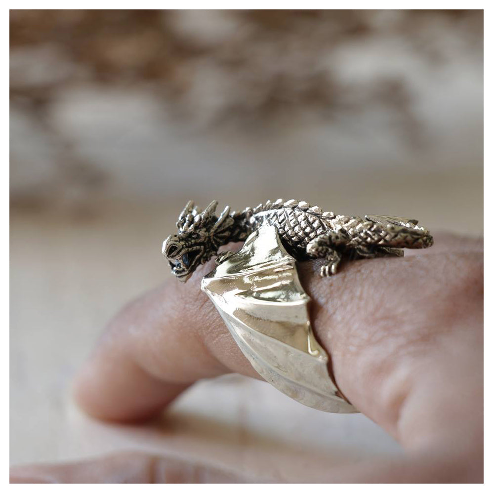 Buy Antiqued Silver Tone Stainless Steel Oxidize Finish Wyvern Dragon Ring  Online - INOX Jewelry - Inox Jewelry India