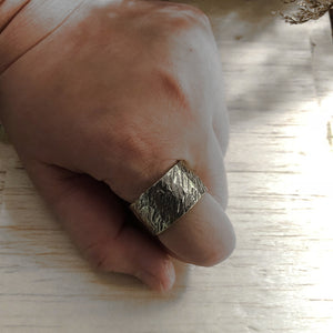 Tiger pattern hammering stamps craft ring sterling silver 925 minimal girl handmade women